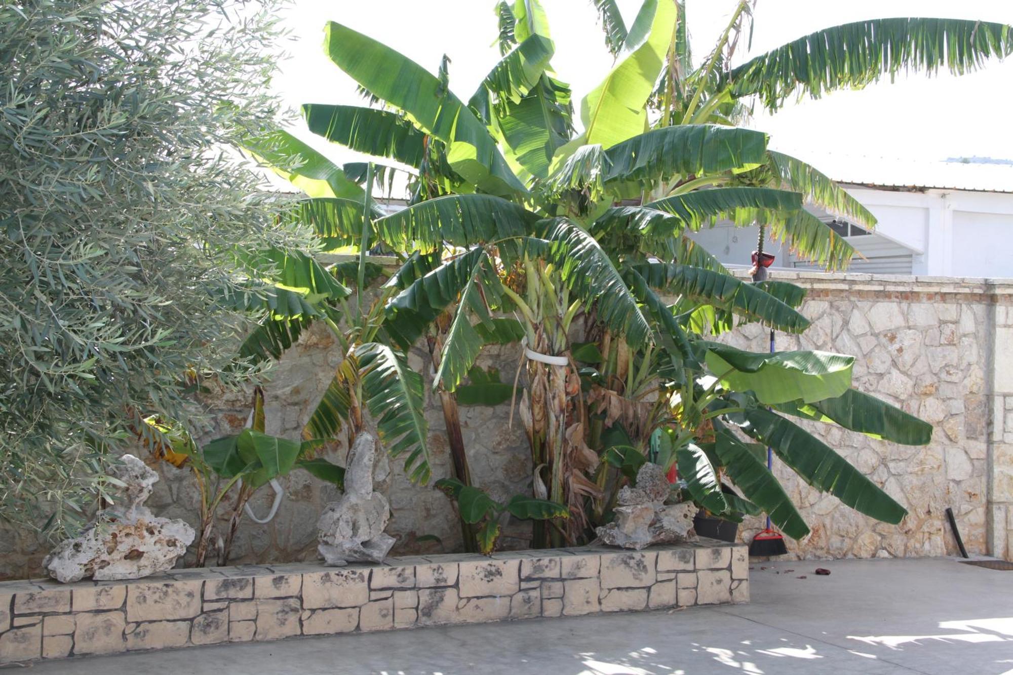 נאפפליו Αριων Village & Suites מראה חיצוני תמונה